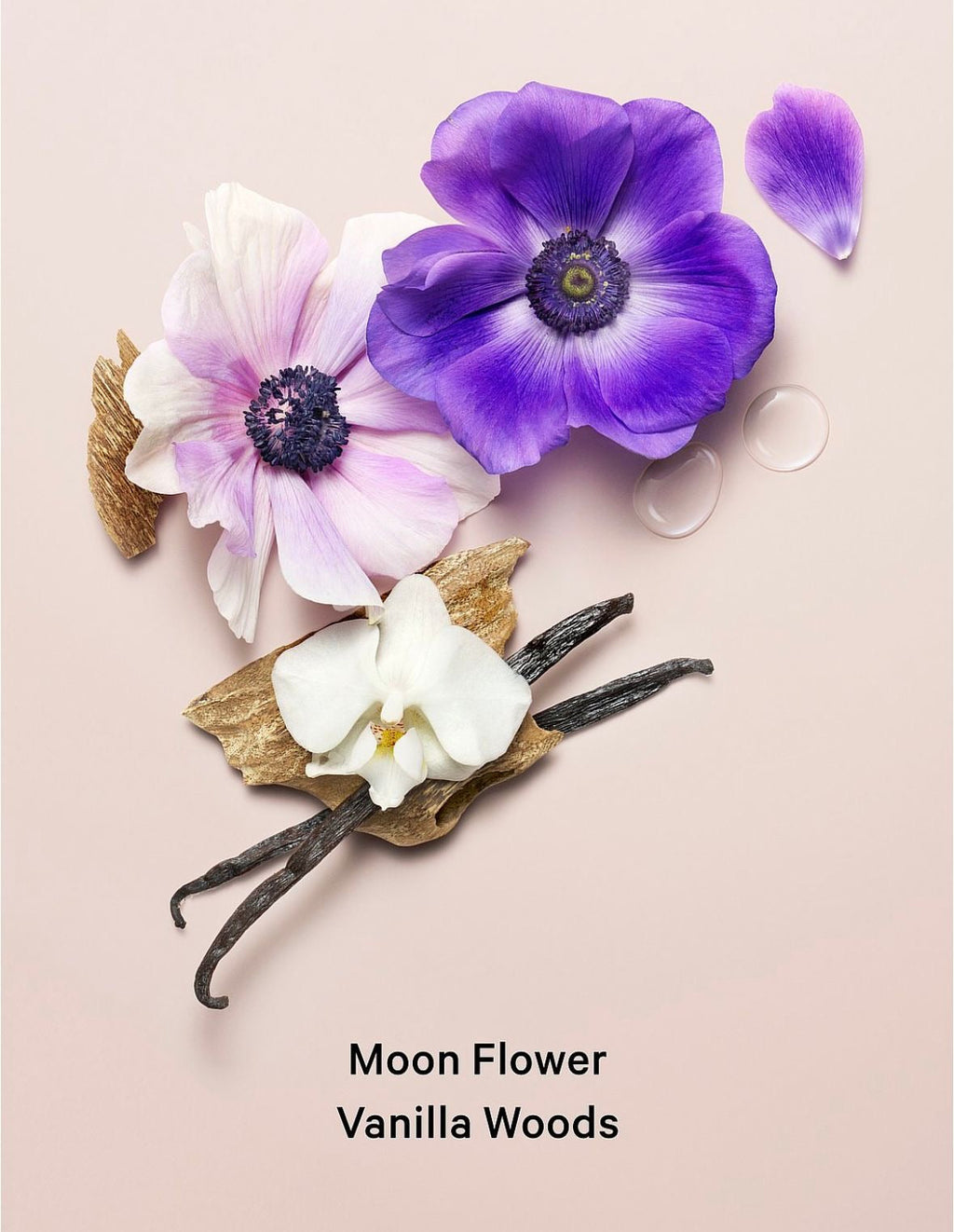 Body Lotion Midnight Bloom Victorias Secret