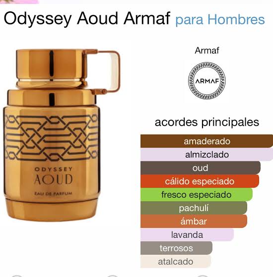 ARMAF Odyssey Aoud de EDP H 100ML